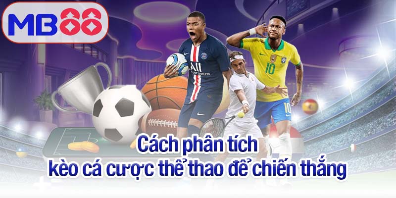 Cá cược thể thao Mb88 - Chiến thuật hay, thắng lớn liền tay 4 Cách phân tích kèo cá cược thể thao để chiến thắng
