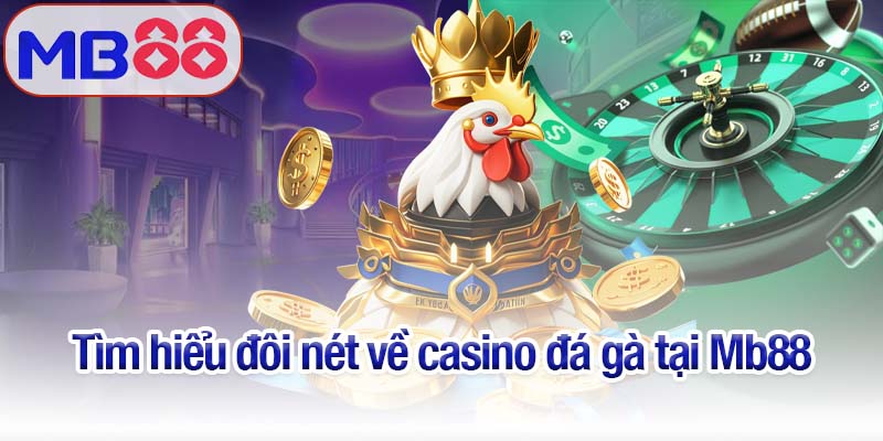 Casino đá gà Mb88 - Nơi thưởng thức những trận chiến kịch tính 2 Tìm hiểu đôi nét về casino đá gà tại Mb88