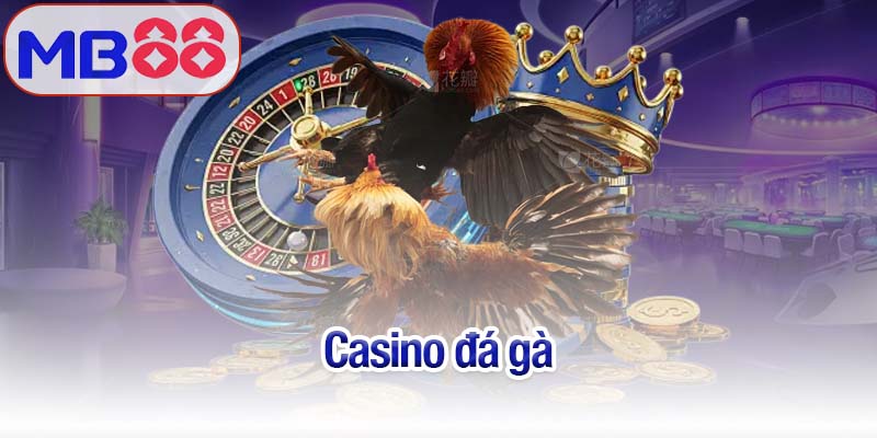 Casino đá gà