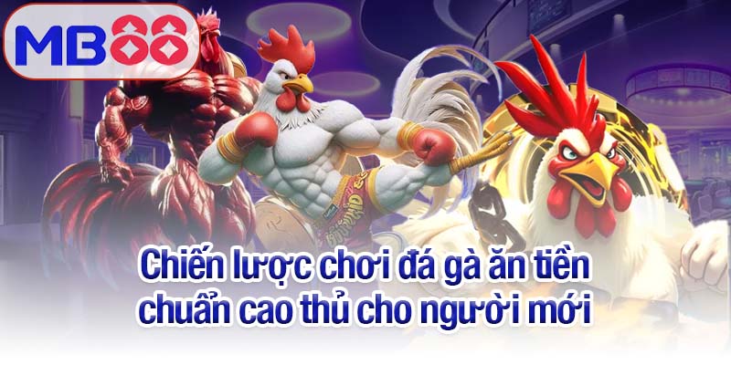 Đá gà ăn tiền - Kịch tính và thú vị không thể bỏ qua tại Mb88 3 Chiến lược chơi đá gà ăn tiền chuẩn cao thủ cho người mới