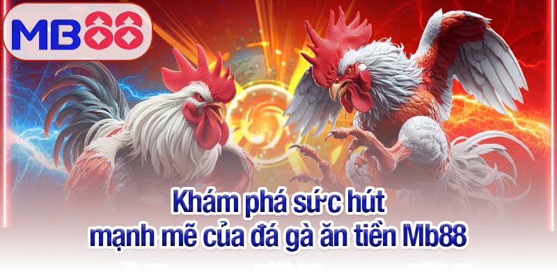 Đá gà ăn tiền - Kịch tính và thú vị không thể bỏ qua tại Mb88 2 Khám phá sức hút mạnh mẽ của đá gà ăn tiền Mb88