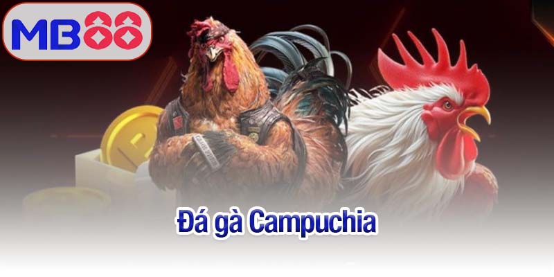 Đá gà Campuchia
