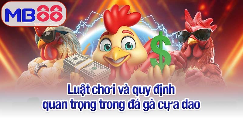 Đá gà cựa dao - Cuộc chiến kịch tính giữa trên sân MB88 huyền thoại 2 Luật chơi và quy định quan trọng trong đá gà cựa dao