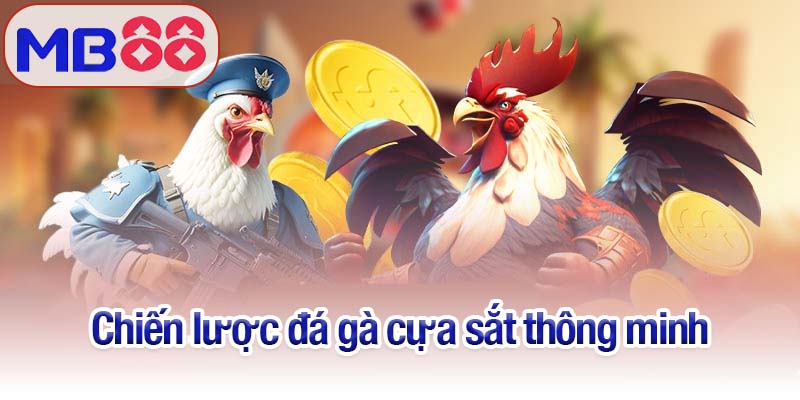 Đá gà cựa sắt - Kinh nghiệm từ cao thủ giúp thắng cược dễ dàng 4 Chiến lược đá gà cựa sắt thông minh