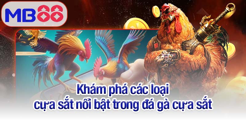 Đá gà cựa sắt - Kinh nghiệm từ cao thủ giúp thắng cược dễ dàng 3 Khám phá các loại cựa sắt nổi bật trong đá gà cựa sắt