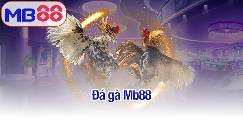 Đá gà Mb88