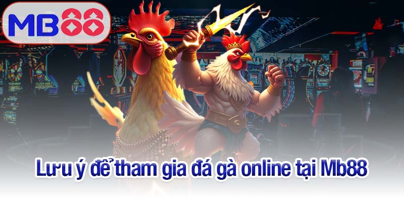 Đá gà online - Sàn đấu ngay tại nhà cho mọi hội viên Mb88 4 Lưu ý để tham gia đá gà online tại Mb88