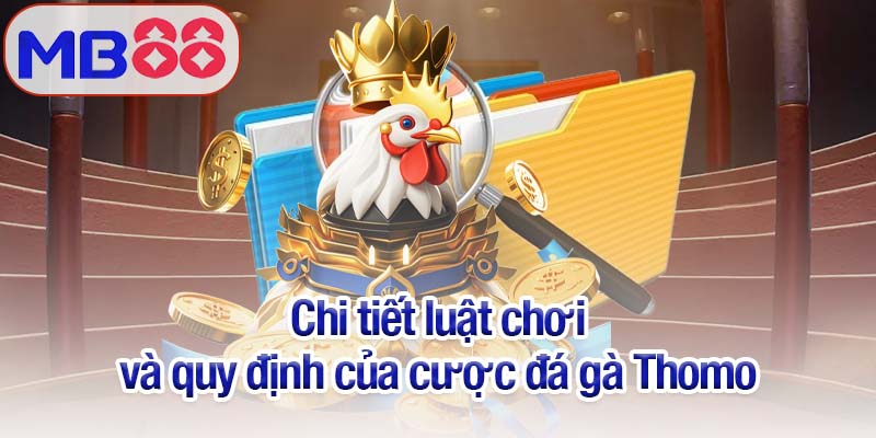 Đá gà Thomo - Trải nghiệm tại Mb88 những màn chiến đỉnh cao 3 Chi tiết luật chơi và quy định của cược đá gà Thomo