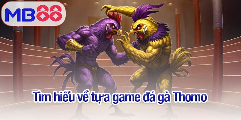 Đá gà Thomo - Trải nghiệm tại Mb88 những màn chiến đỉnh cao 2 Tìm hiểu về tựa game đá gà Thomo