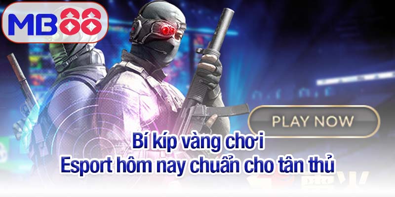 Esport hôm nay - Sẵn sàng chinh phục đấu trường MB88 2 Bí kíp vàng chơi Esport hôm nay chuẩn cho tân thủ