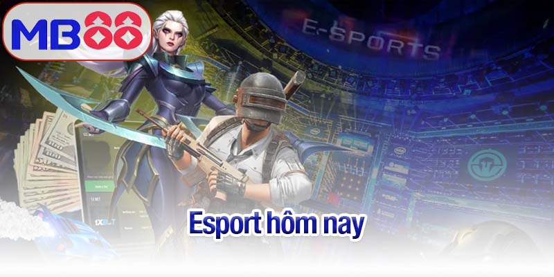 Esport hôm nay