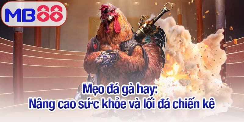 Mẹo đá gà Mb88 - Nâng cao cơ hội thắng từ người chơi chuyên nghiệp 4 Mẹo đá gà hay: Nâng cao sức khỏe và lối đá chiến kê