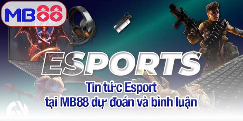 Tin tức Esport MB88 - Giải đấu, tuyển thủ và xu hướng mới 3 Tin tức Esport tại MB88 dự đoán và bình luận