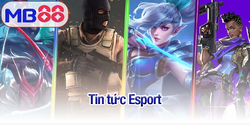 Tin tức Esport