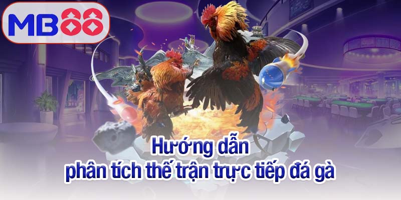 Trực tiếp đá gà Mb88 - Trải nghiệm thực tế sống động 4 Hướng dẫn phân tích thế trận trực tiếp đá gà